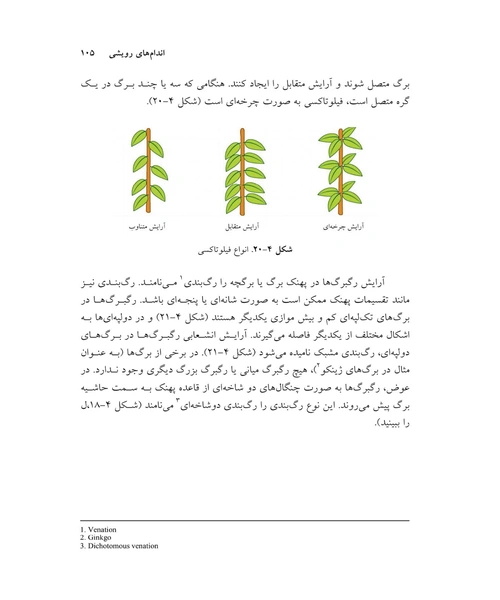 مبانی گیاه شناسی - نمونه دوم - جزیره کتاب های الکترونیکی